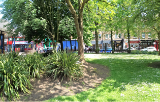 Thumbnail Placeholder