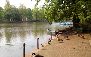 Thumbnail Placeholder